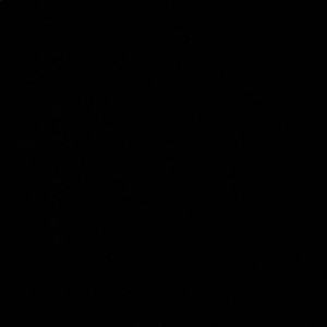 Meet your Posher, Joelle